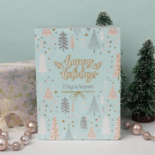 Load image into Gallery viewer, 12 DAYS OF SURPRISES ADVENT BOX